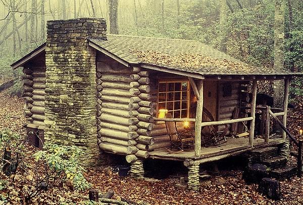 Ormanın ıssızlığında eski bir kulübe.