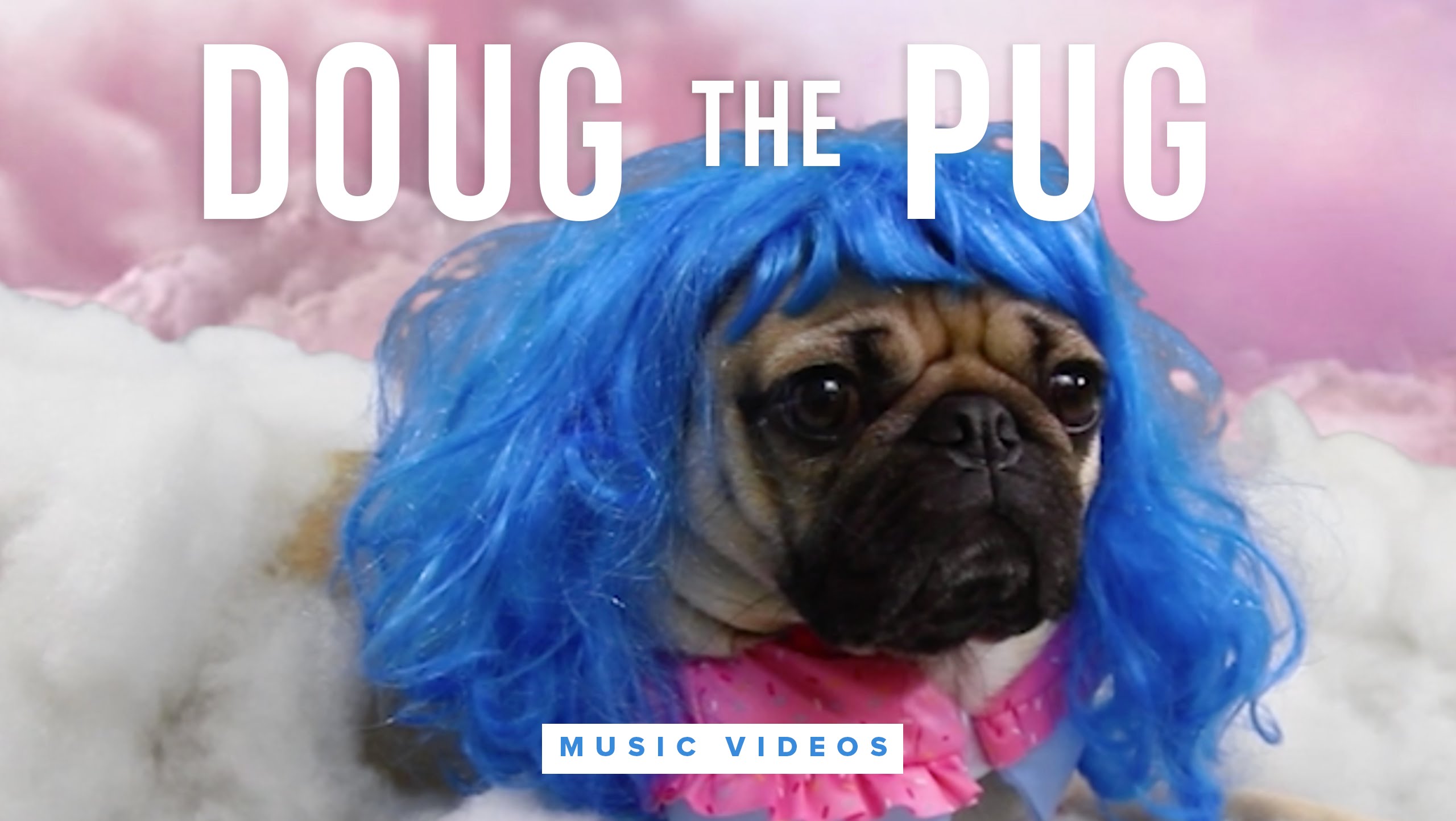 Doug The Pug ile Bütün Video Klipler Artık Daha Güzel