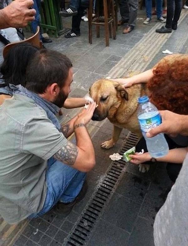 16. Taksim'de biber gazından etkilenen köpeği kendine getirmek için seferber olan güzel insanlar...👏