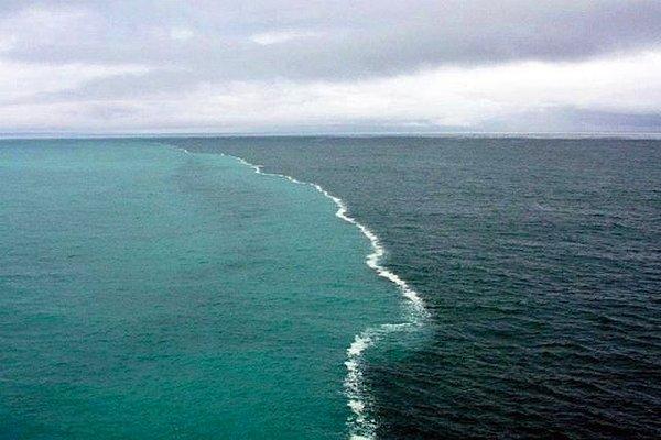 4. Atlantik Okyanusu ve Kuzey Buz Denizi'nin birleştiği yer