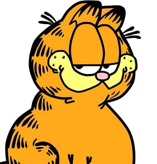 Garfield / Egemen Bağış