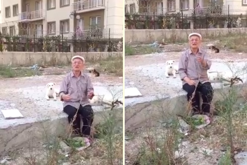 Emekli Maaşı ile Beslediği Sokak Köpeklerini Toplayan Belediyeye İsyan Eden Mehmet Amca