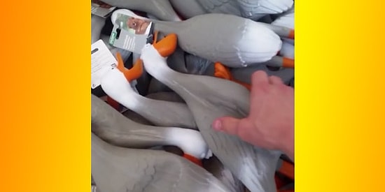 Son Günlerin Popüler Videosu Ördek Ordusu'na Yapılmış 16 Komik Remix