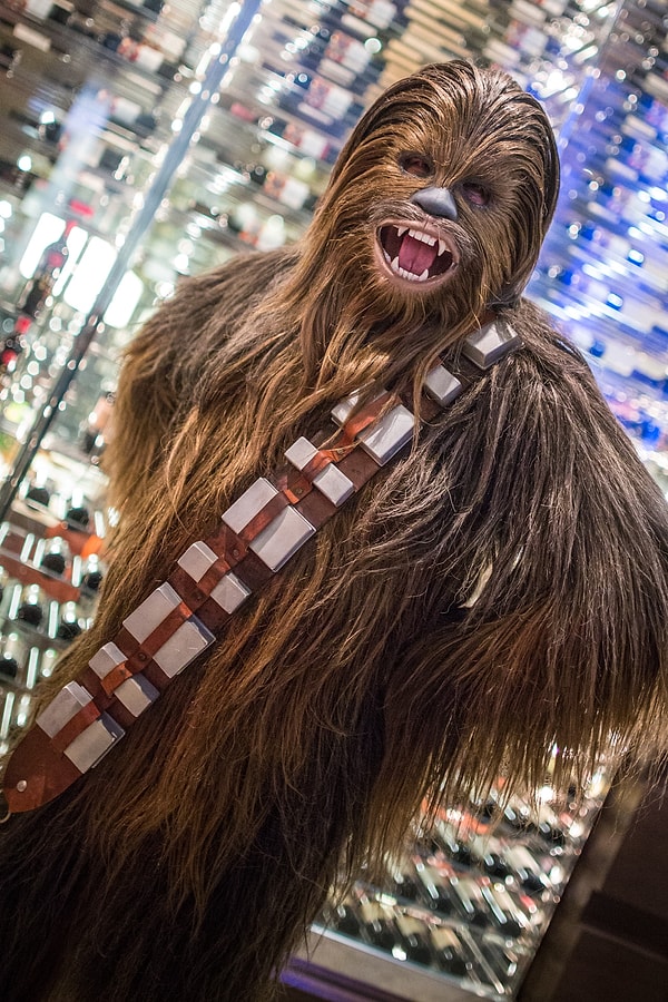 13. Chewbacca - Star Wars