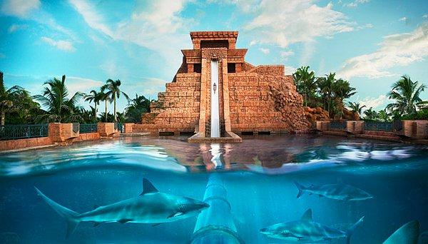 8. Leap of Faith Atlantis - Bahamalar