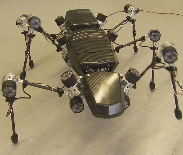 3. Robot Teknolojisi ve Böcekler