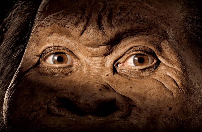 İnsanın Atası Yeni Bir Tür Bulundu: Homo Naledi