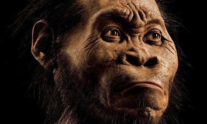 Geçmişimizi Keşfetmeye Devam: İnsanoğlunun En Yeni Akrabası Olan Homo Naledi