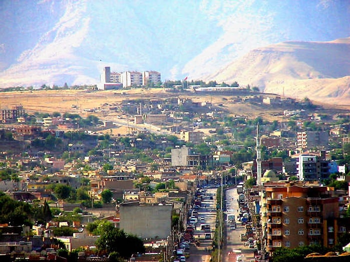 12 Cevapla Cizre'de Yaşanan Olayları Anlamaya Çalışıyoruz