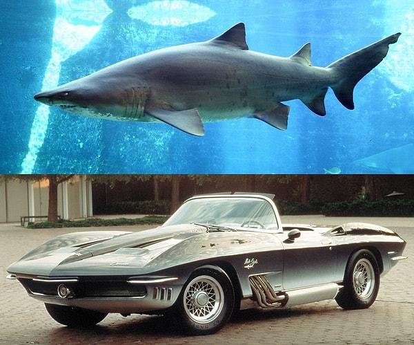22. Corvette'in köpekbalığından esinlenerek tasarladığı otomobil.
