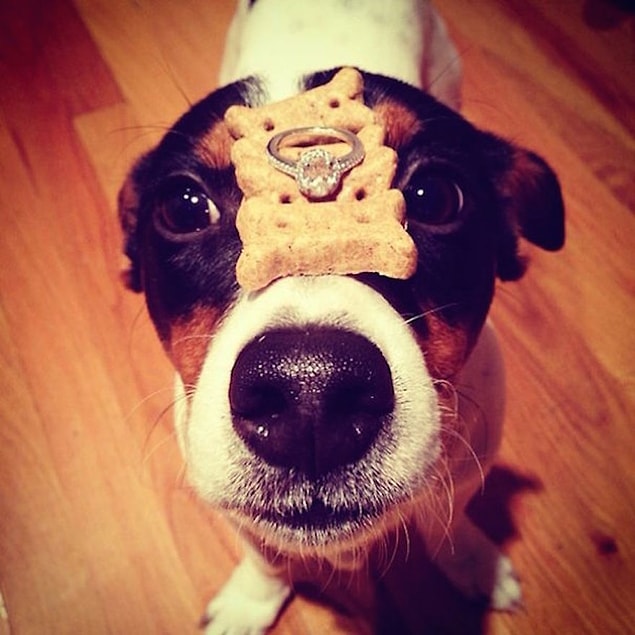 6. With a dog