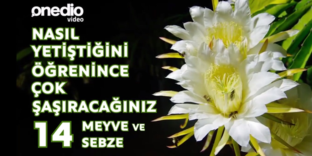 Nasıl Yetiştiğini Öğrenince Çok Şaşıracağınız 14 Sebze ve Meyve