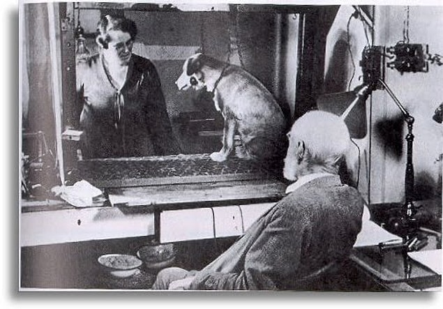 Pavlov’un Köpeği Deneyi