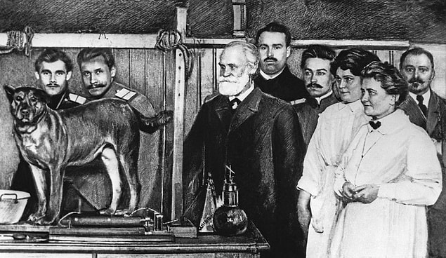 İvan Petroviç Pavlov Kimdir?