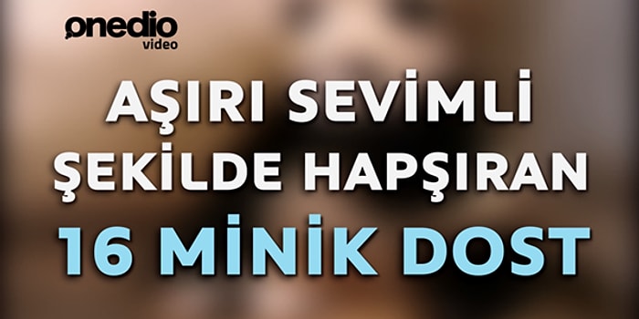 Aşırı Sevimli Şekilde Hapşıran 16 Minik Dost