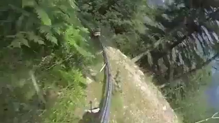 Alpine Coaster ile Eğlencenin Dibine Vurmaya Hazır Mısınız?