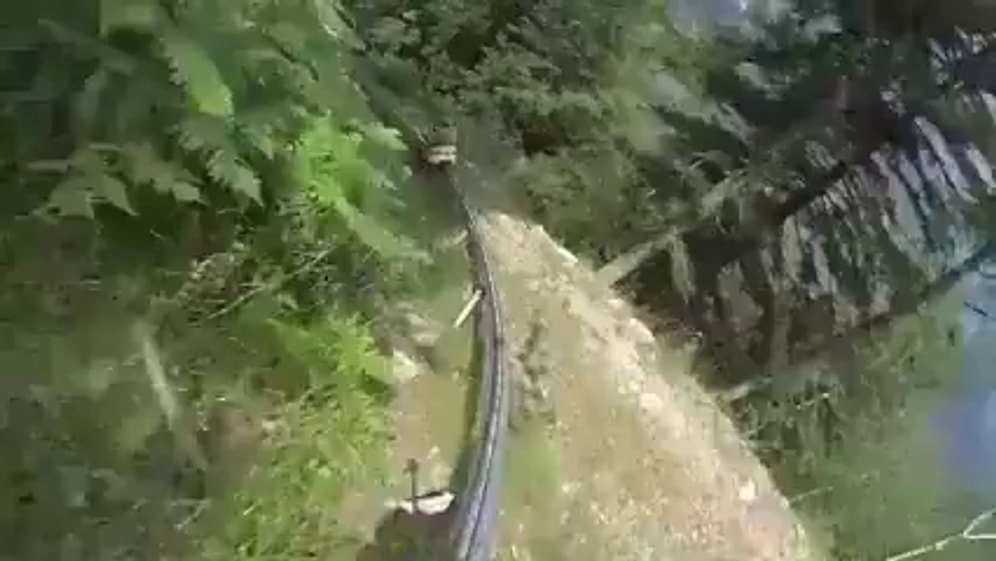 Alpine Coaster ile Eğlencenin Dibine Vurmaya Hazır Mısınız?