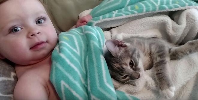 Dünyanın En Sevimli Anları: Sevimli Çocuktan Minnoş Bir Kediyi Uyandırma Rehberi