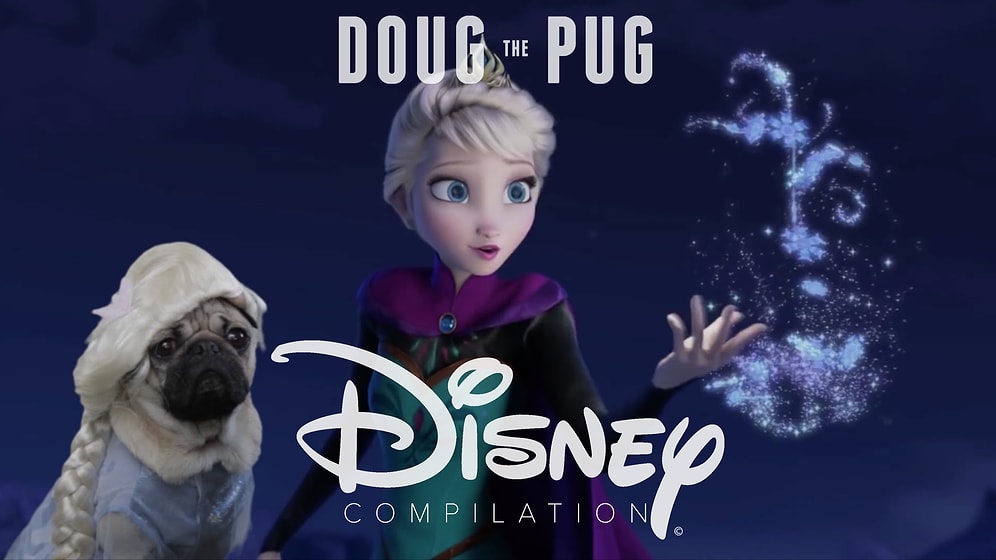 Doug The Pug ile Disney Filmleri Artık Daha Güzel