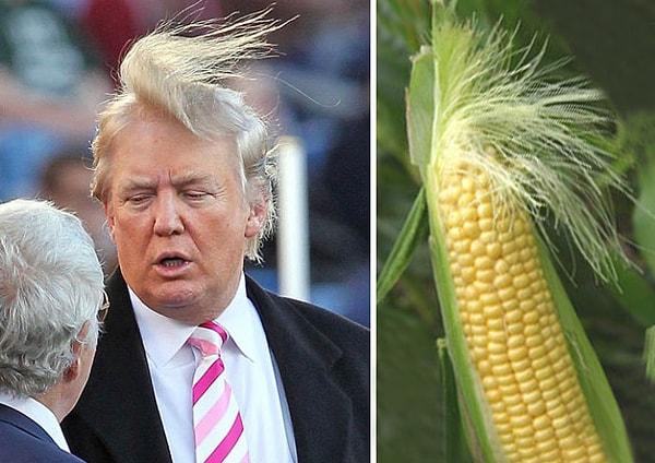 5. Donald Trump ve mısır arasındaki inanılmaz benzerlik.