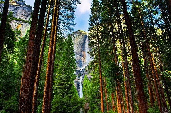 8. Doğanın gerçek renginin, kartpostallardan çok daha güzel olduğunun ispaıdır Yosemite.