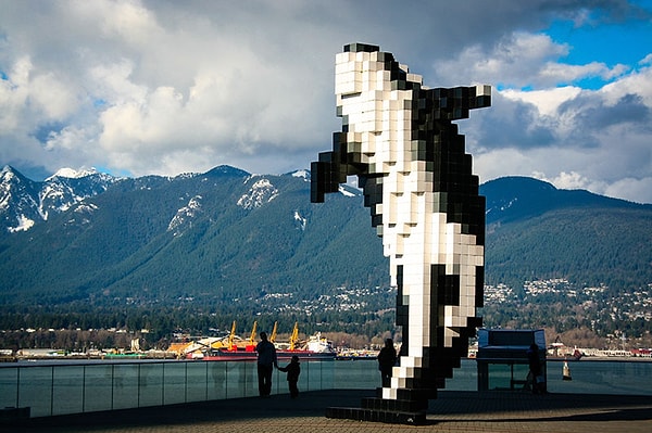 Digital Orca, Douglas Coupland.