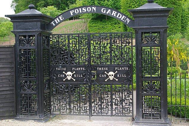 13. The Alnwick Poison Garden