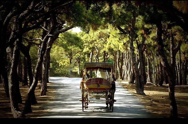 Dönüşüm Manastırı