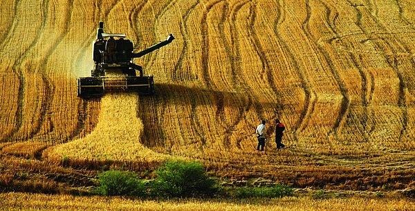 TÜİK verilerinde tarım üreticileri fiyatları bir yılda yüzde 107'ye yakın arttı.