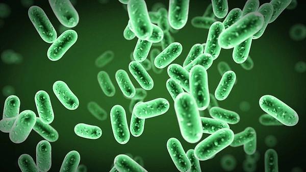 16. Vücutlarımızda, insan hücresinden daha fazla bakteri hücresi bulunur.