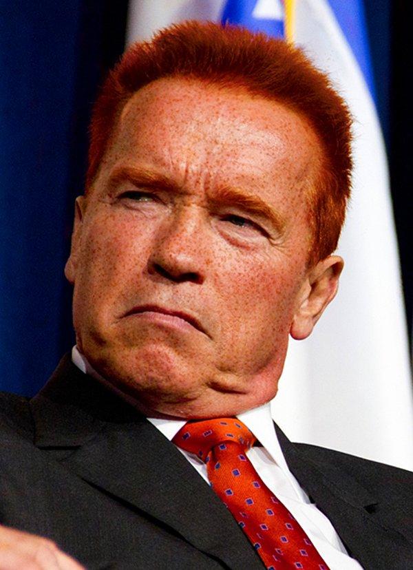 3. Arnold Schwarzenegger