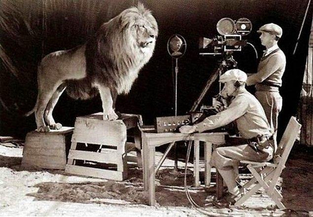 20. Shooting of MGM's famous movie intro "roar"