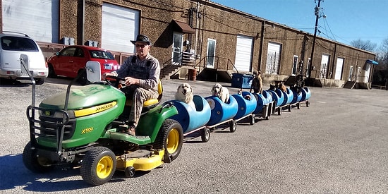Evsiz Köpekler İçin Tren Yapan 80 Yaşındaki Yardım Sever Amca