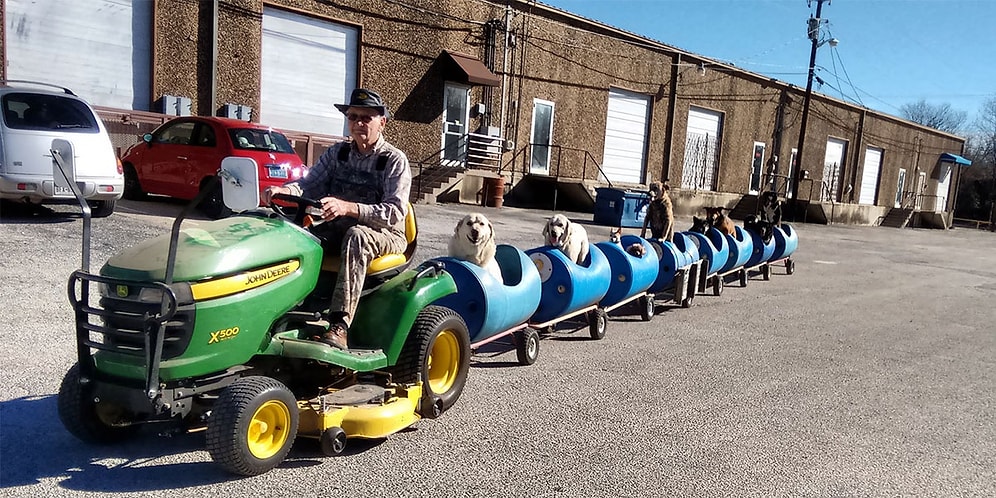 Evsiz Köpekler İçin Tren Yapan 80 Yaşındaki Yardım Sever Amca