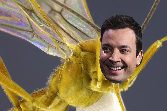 Dünyaca Ünlü Kişilerin İsimlerinden Esinlenerek Adlandırılmış 24 Tuhaf mı Tuhaf Hayvan