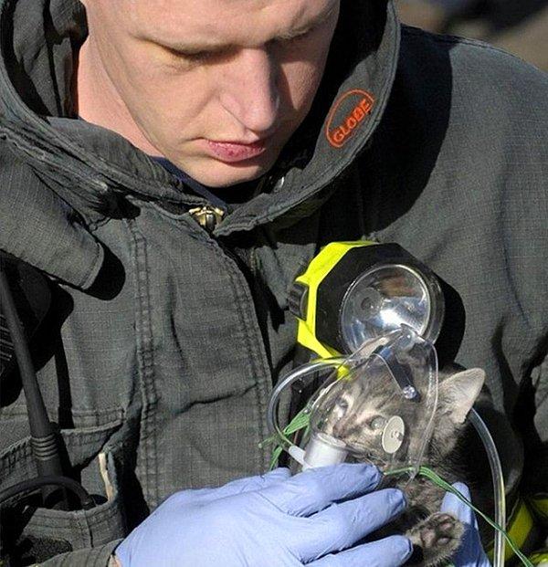 12. İtfaiyeci yangından kurtardığı bir kediye oksijen veriyor.
