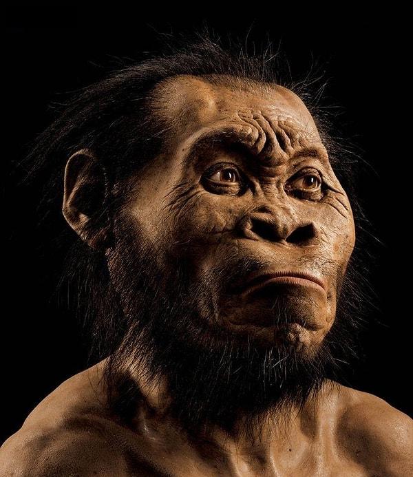 3. Güney Afrika’da yeni bir insan atası Homo Naledi bulundu