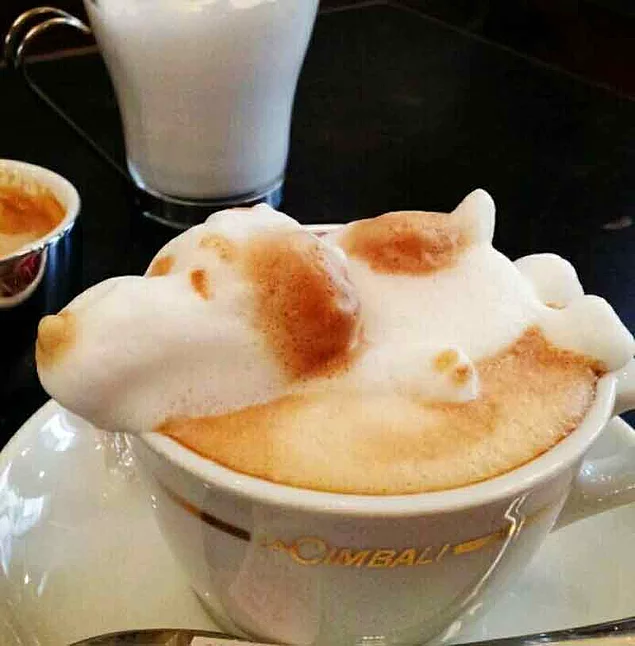 Snoopy kahvenizde yüzebilir.