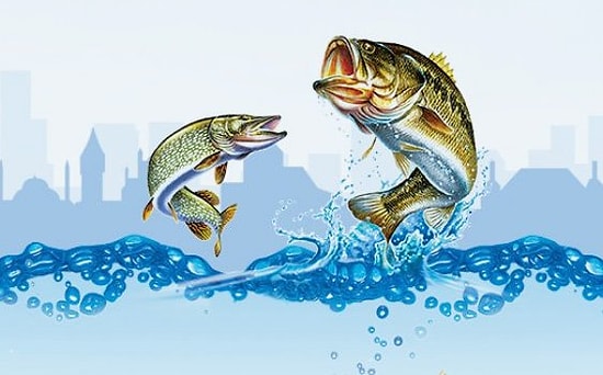 Hangi Balık Hangi Mevsimde Yenmeli?