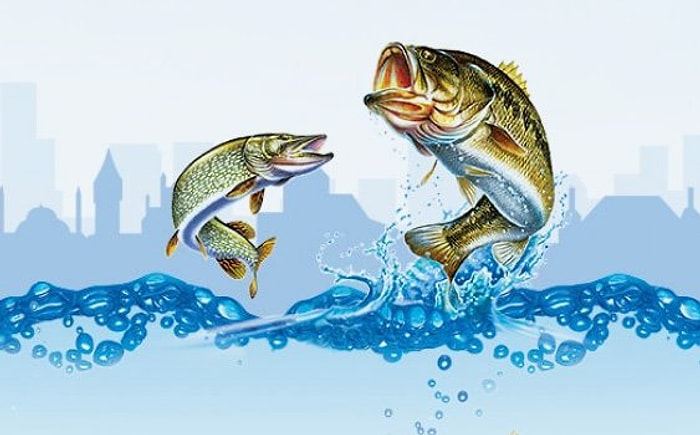 Hangi Balık Hangi Mevsimde Yenmeli?