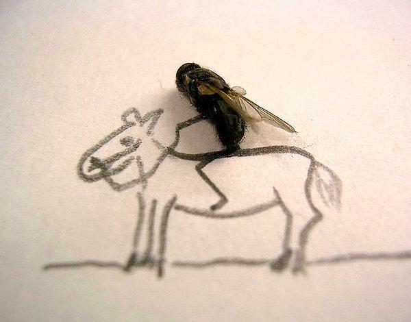 15. Sadece karınca değil, her türlü böceği elimize almaktan çekinmedik. Kanadını koparıp örümcek ağına attığımız sineklerden karınca yuvasına bırakıp yuvaya çekilmesini izlediğimiz böceklere kadar.