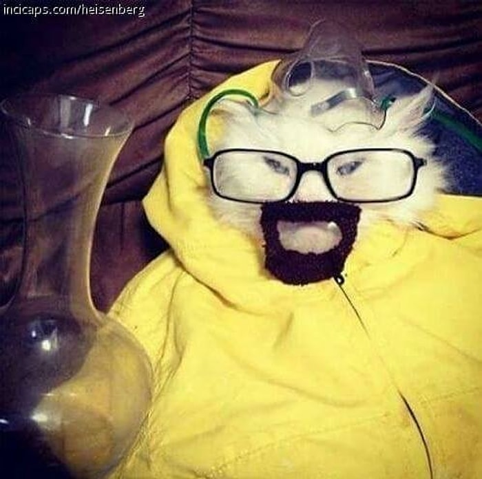 "En Sevdiğim Dizi" Kalıbıyla Atılmış En İyi 15 Tweet