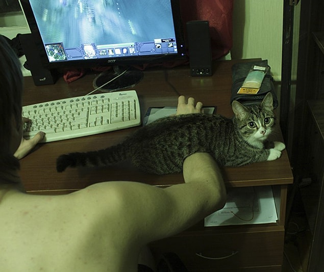 12. Bir kedi nereye isterse oraya oturur, durduramazsınız.