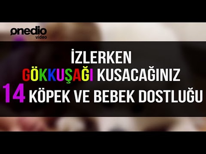 İzlerken Gökkuşağı Kusacağınız 14 Köpek ve Bebek Dostluğu