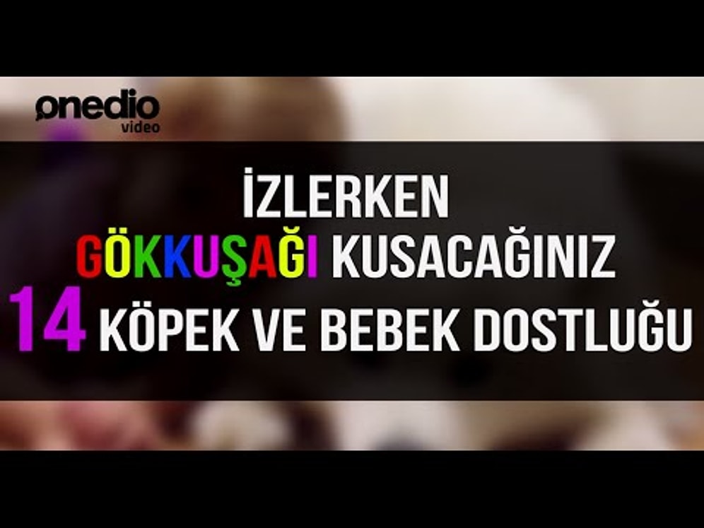 İzlerken Gökkuşağı Kusacağınız 14 Köpek ve Bebek Dostluğu