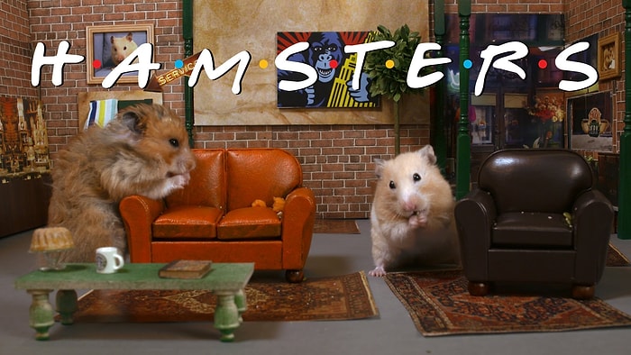 Friends’ın Sevimli Rakibi: Hamsters!