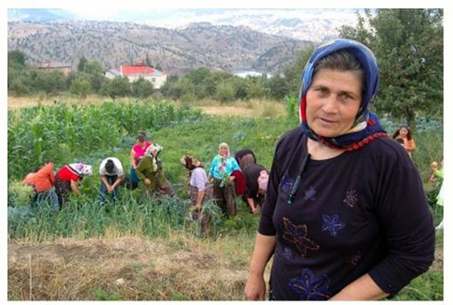 Tarlada çalışarak biriktirdiği paraları, son kuruşuna kadar "Yün Bebek" için kullanmış.