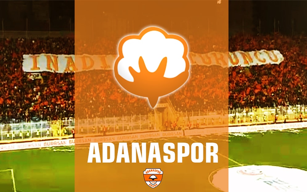 15 Anadolu Kulübünün Armalarının Minimalize Halleri