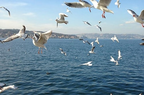 Beykoz Sahil Sosyal Tesisi