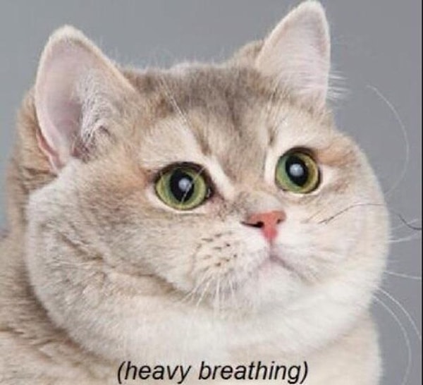 15. Снимать туфли незаметно в общественных местах, когда ноги устали. И то чувство, когда их снова нужно надевать.